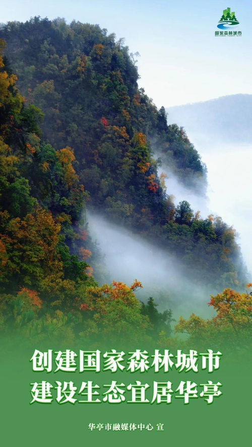 平凉市政协调研华亭市非遗保护利用及助推文旅融合发展工作 软件开发及技术推广