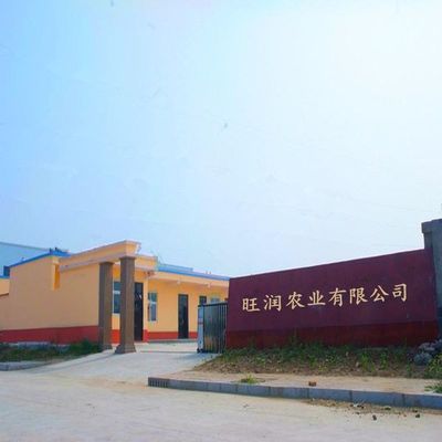 旺润肥料厂家 专业有机肥与水溶肥定制加工，创新驱动农业未来