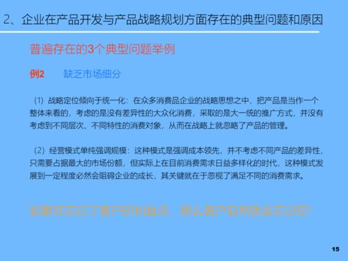 PPT新产品开发及产品战略规划 软件开发与技术推广